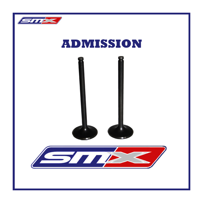 Lot de 2 soupapes admission pour 660 Raptor Rhino Grizzly : 30mm