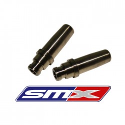 Lot de 2 guides de soupape 900 RZR 13-14