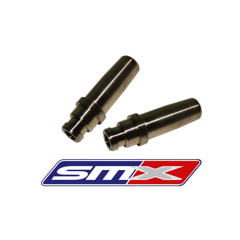 Lot de 2 guides de soupape 900 RZR 13-14