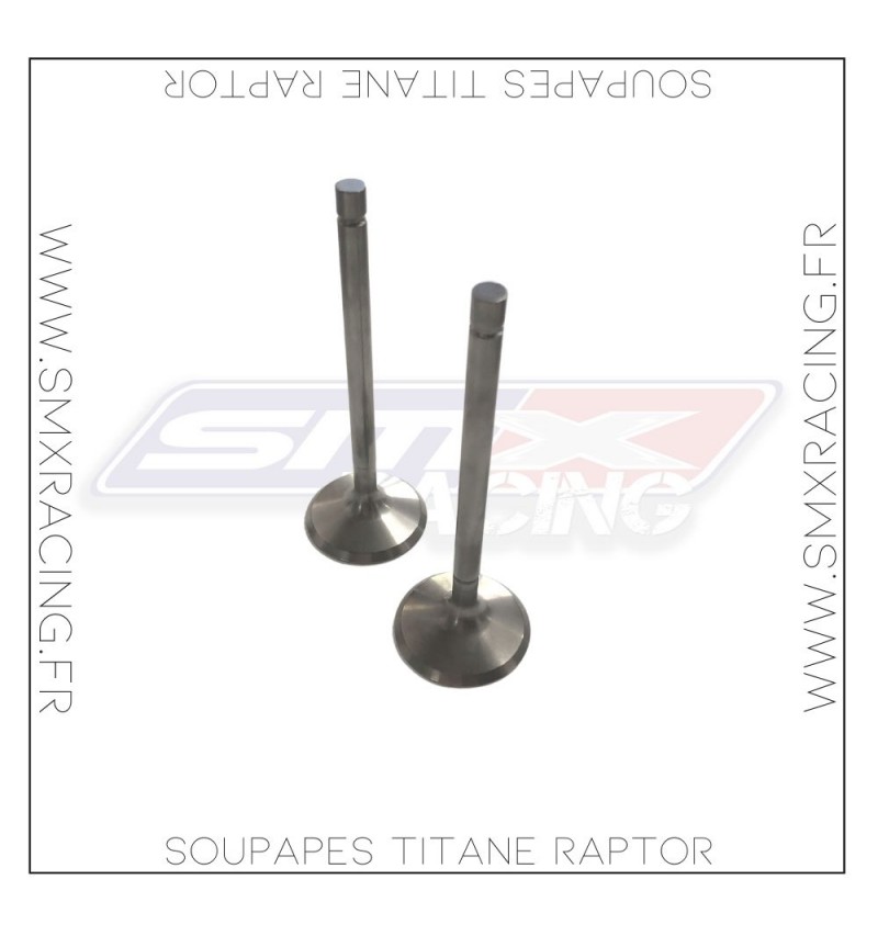 Soupapes échappement titane pour 700 Raptor Rhino Grizzly