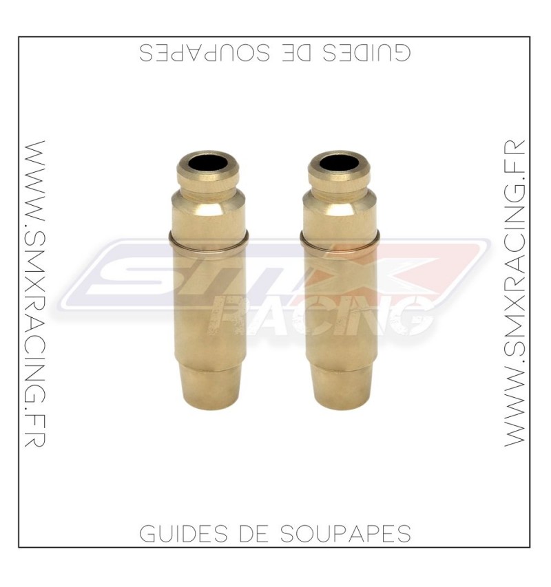 Guides de soupape pour Yamaha 700 Raptor Rhino Grizzly