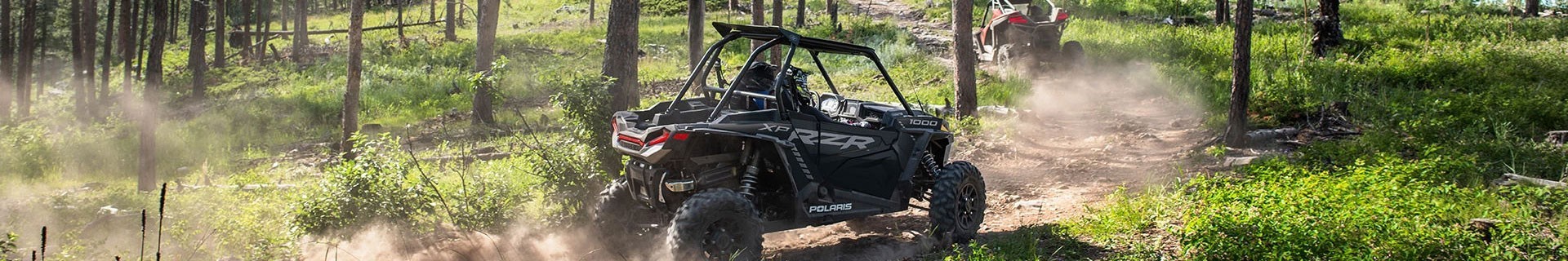 1000 RZR